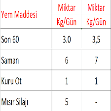 Son 60 Kuru Donem Yemi Gencer Tarim Urunleri
