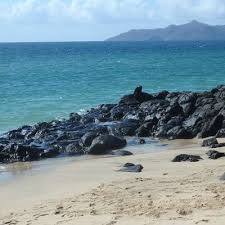 Marlin brings you a brand new contemporary 300 room hotel steps from st. Mayotte Find Hotel Websites
