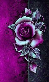 Hd phone wallpapers download beautiful high quality best phone background images collection for your smartphone and tablet. Purple Rose Wallpaper Hd Mobile Background For Android Apk Download