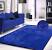 Blue Carpet Gray Walls