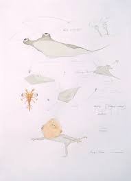 Or you can use any digital drawing tools if you have. Eye Trace Drawing Hyungkoo Lee