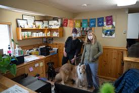 Sierra vet hospital offers general health exam, full range of diagnostics, chronic disease management, routine and emergency surgery, digital and dental radiography, dental cleaning and. More People More Puppies More Problems Moonshine Ink