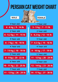 If it weighs 5 kg, between 250 and 300 g. Normal Kitten Weight Chart Novocom Top