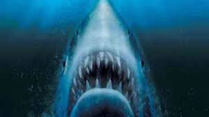 Animals improperly slaughtered or dead before slaughtering. It Is True A 300 Kg Shark Was Captured Offshore Kribi