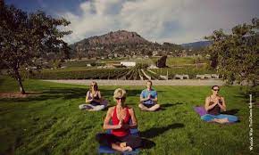 Address, phone number, elevate heli yoga reviews: Yoga In The Vineyard Westside Wine Trail West Kelowna Okanagan Valley Picture Of Westside Wine Trail West Kelowna Tripadvisor
