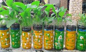 Hydroponic Botol Bekas Sederhana Hidroponik Menanam Sayuran Menanam