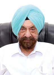 Jewels of Punjab Leading Global Punjabi Personalities: Volume I