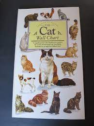 Pure Bred Cat Book Xl Folio Book 12 X 20 5 Inches 8 Ft Folding Etsy Most Popular Cat Breeds Popular Cat Breeds Cat Books