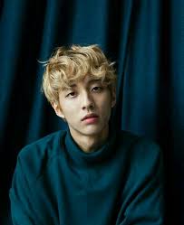 Pin By Jae On Holland Kpop Idol Singer Holland Korean Idol
