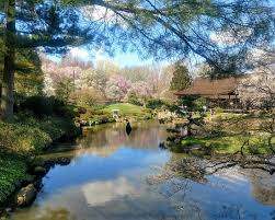 Highlights include a pond garden with tiered waterfall, island and koi fish plus a tea garden with a traditional tea house. Shofuso Japanese House And Garden Review Of Shofuso Japanese House And Garden Philadelphia Pa Tripadvisor