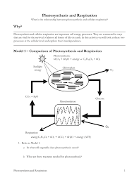 Endergonic reaction, in order to perform biological work. Model 1 Comparison Of Photosynthesis And Respiration