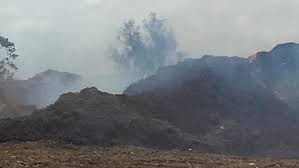 Thank you for trying amp! Crews Monitoring Landfill Fire In Indian River County Wpec
