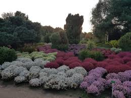Park der gärten is at park der gärten. Park Der Garten Offene Garten Region Weser Ems