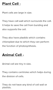 An animal cell model would not include these structures.ement of the model onto a separate paper or poster. 1 Prepare A Model Of Plant Cell Or Animal Cell With Locally Available Materials Brainly In