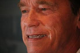 Arnold Press Stock Photos