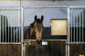These blankets are waterproof and can stretch from your horse's this turnout blanket is a one size fits all blanket, with straps for optimal adjustment located around the neck of the jacket and the belly. How To Choose Blankets Sheets And Rugs For Your Horse