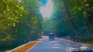 She said that the photographer + driver (think its those minivan kind) are from. Kottawa Kale Kottawa Forest Youtube