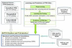 Learn vocabulary, terms and more with flashcards, games and other study tools. Post Translational Modification Wikipedia