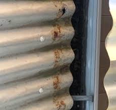 Reports within 24hrs from $199. Brisbane Building And Pest Inspection Services Southside And Bayside