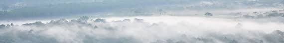 (⇒ conjugate) hazes v 3rd person singular hazing v pres p verb, present participle: What Does Net Zero Emissions Mean Myclimate