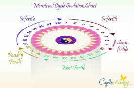 ovulation chart cycle harmony