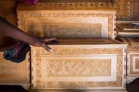 Image result for Widdringtonia whytei