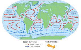Relevant 8th grade comprehensive science 3 standards are provided and specific learning targets have been developed. Eighth Grade Lesson Ocean Currents Betterlesson