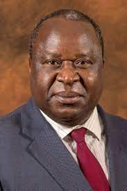 This week finance minister tito mboweni cooked a mopane worm dish but twitter users were not mboweni shared the ingredients he used to make the dish: Tito Mboweni Unlikely To Increase Taxes Lnn Roodepoort Record