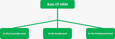 Human Resource Management (Hrm)- Objectives, Roles, And Functions