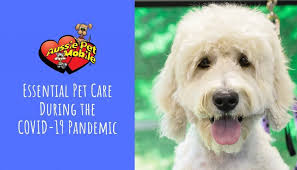 Hours may change under current circumstances Essential Pet Care During The Covid 19 Pandemic Aussie Pet Mobile Nw Tucson