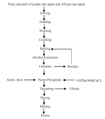 Extraction And Utilization Of Pectin From Purple Star Apple