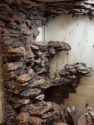Vivarium Background Build Vivarium Reptile Terrarium Terrarium