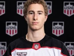 Local roundup: UMass Lowell hockey program nets commitment from Michigan  forward