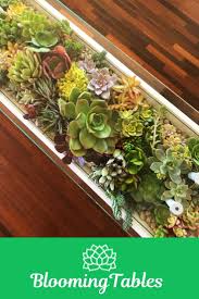 Special Blooming Tables In 2020 Nature Inspired Decor House Plants Decor Succulents Diy