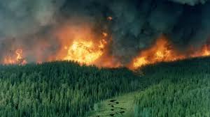 The ring of fire development would impact nine first nations, and potential developers are required to negotiate an impact benefit agreement with these communities prior to development. Climate Change Means More Forest Fires In Ontario Here S Why Tvo Org
