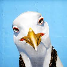 Pin On My Photography