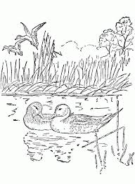 Beautiful nature coloring pages at getdrawings | free download Nature Around The House Coloring Pages Coloring Home