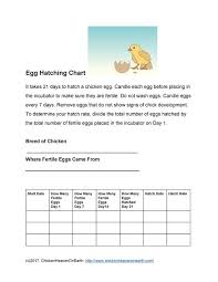 Hatch Record Sheet Printable Chicken Health Records