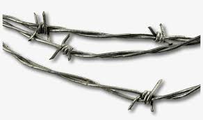 111x Authority Barbed Wire Png Transparent Png 1920x1080 Free Download On Nicepng All barb wire clip art are png format and transparent background. 111x authority barbed wire png