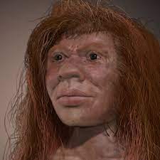 Instead, it analyzed the modern melanesian genome for. Meet Denny The Ancient Mixed Heritage Mystery Girl Evolution The Guardian