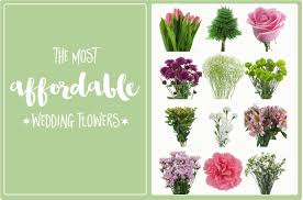 The Most Affordable Types Of Wedding Flowers On A Budget In 2020 Affordable Wedding Flowers Online Wedding Flowers Wedding Flower Packages