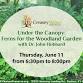 Under the Canopy: Ferns for the Woodland Garden