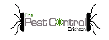Generally, the colorado pest control industry. Fine Pest Control Brighton City Pest Control Pros