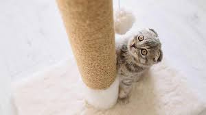 How To Replace Sisal Rope On A Cat Tree Diy For Owners On A Budget