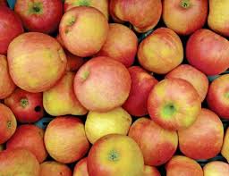The Top 5 Ways To Ensure Apples Store Well Good Fruit Grower