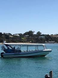 Lucie river so resembled the amazon that it was used for stunt shots in the james bond (roger moore) film moonraker, released in 1979. Moonraker Dolphin Swims Adventure Cruise Sorrento Travels With Jb