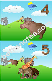 Animals Went In Two By Two Beth S Notes