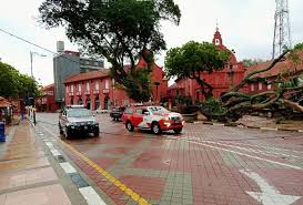 Alhamdulillah restoran kami menjadi pilihan mereka. Pokok Ikonik Dan Bersejarah Di Melaka Rebah Gara Gara Hujan Lebat Angin Kencang Astro Awani