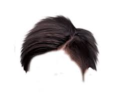 Pin By Julissa Ceballos On I Poly Hair Hair Png Download Hair Photoshop Backgrounds