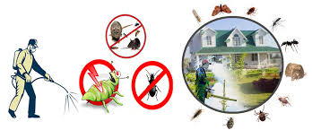 RESIDENTIAL AND COMMERCIAL PEST CONTROL SERVICES – PESTCONTROL